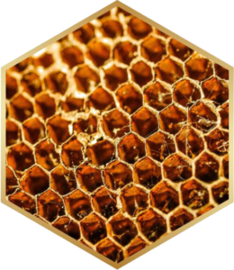 Honeycomb copy